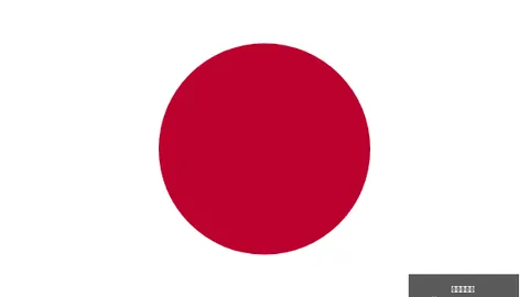 “剖析：萨尔瓦多或面临严重膝关节损伤，康复挑战重重”